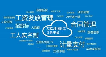 上?；ヂ摼W軟件集團 高端協同管理軟件與企業管理咨詢服務提供商